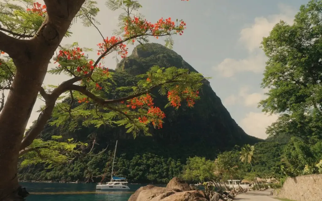 viceroy_home