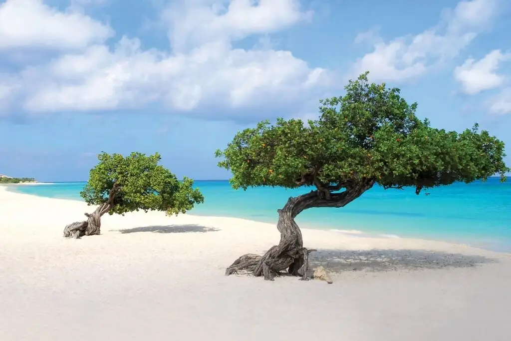Southern Caribbean Cruse_ (6)