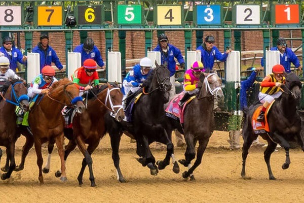 Horses breaking from the starting gate at Churchill Downs during the Kentucky Derby
